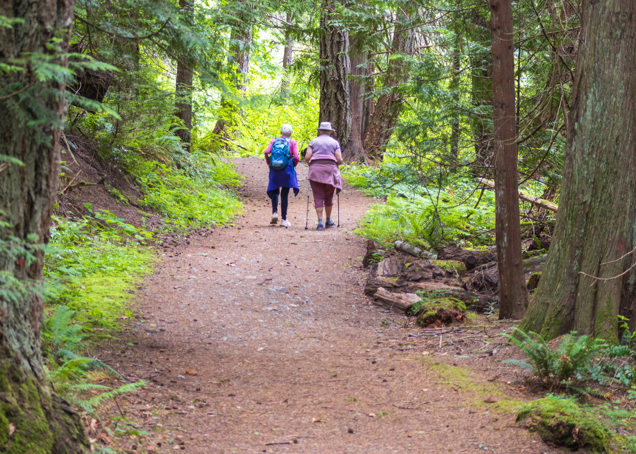 Two elder ladies walking on a forest path.